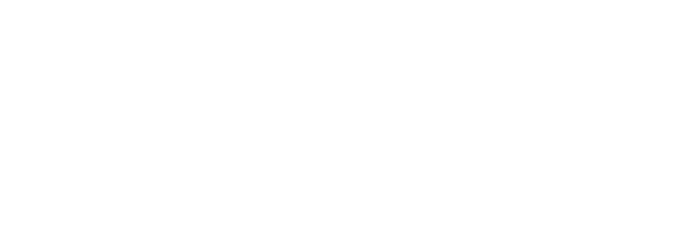 Filmproduktion Bern BOFF. - Logo Wirz Brand Solutions