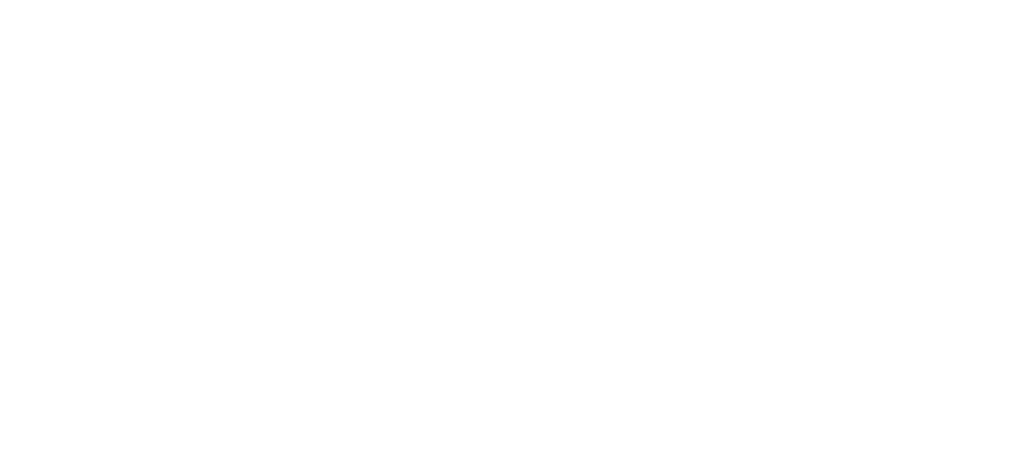 Filmproduktion Bern - BOFF. - Logo Spitex Seeland