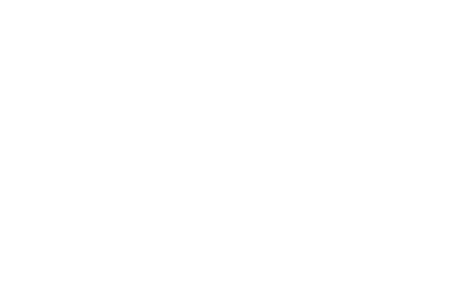 Filmproduktion Bern BOFF. - Logo BLS