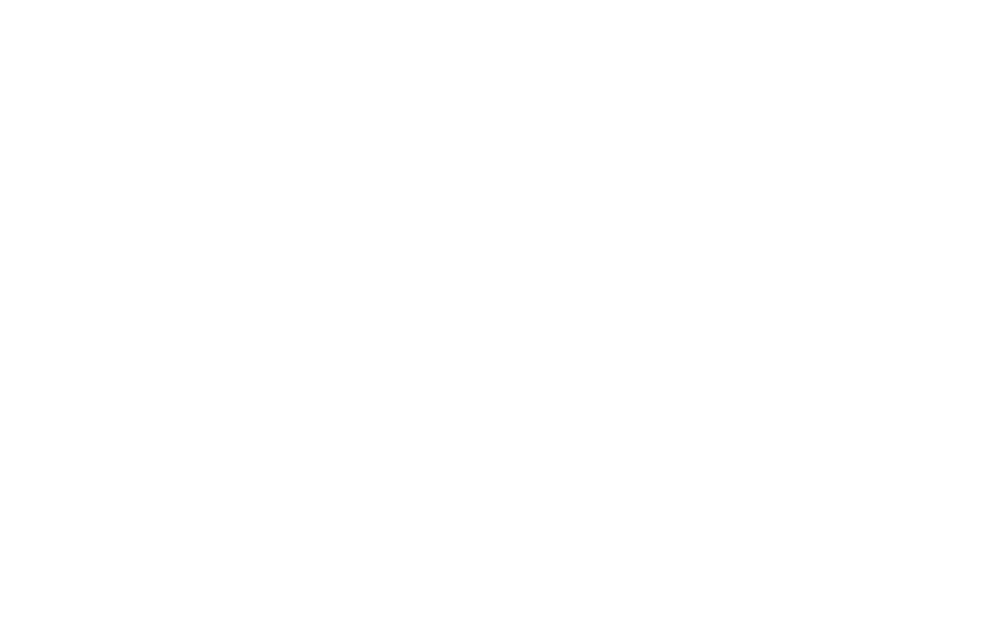 Filmproduktion Bern - BOFF. - Logo Liechtenstein Marketing